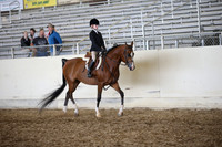 PacSlopes18_SunAM3_0525