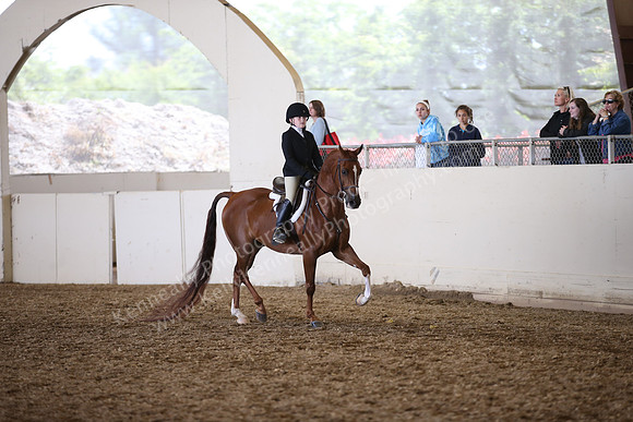PacSlopes18_SunAM3_0536