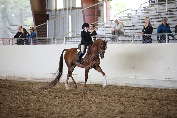 PacSlopes18_SunAM3_0537