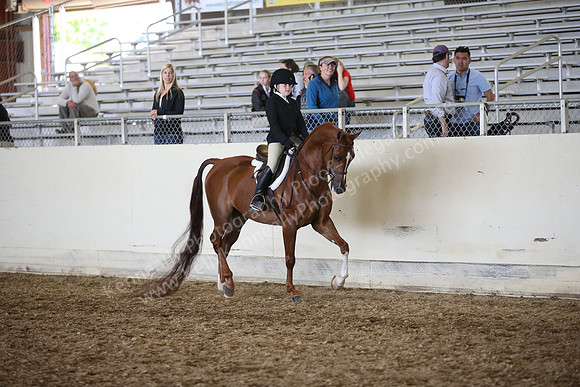 PacSlopes18_SunAM3_0538
