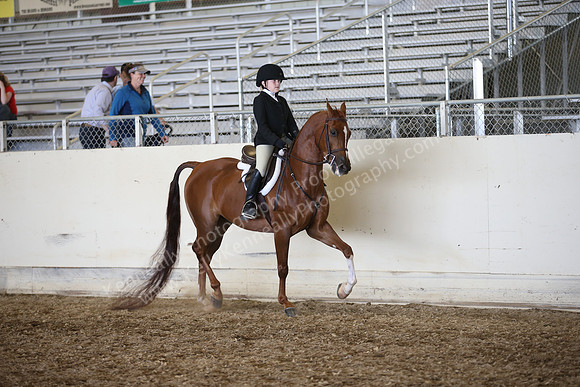 PacSlopes18_SunAM3_0539