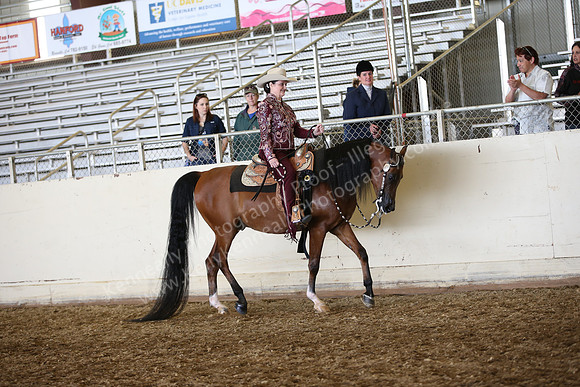 PacSlopes18_SunAM3_0455