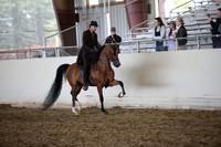 PacSlopes18_SunAM3_0607