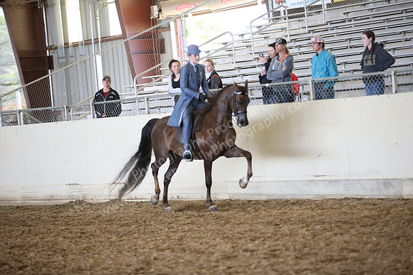 PacSlopes18_SunAM3_0616