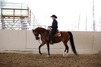 Class 331 HA/AA Western Pl Jr. Horse Champ
