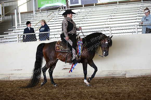 PacSlopes18_SunAM3_0471