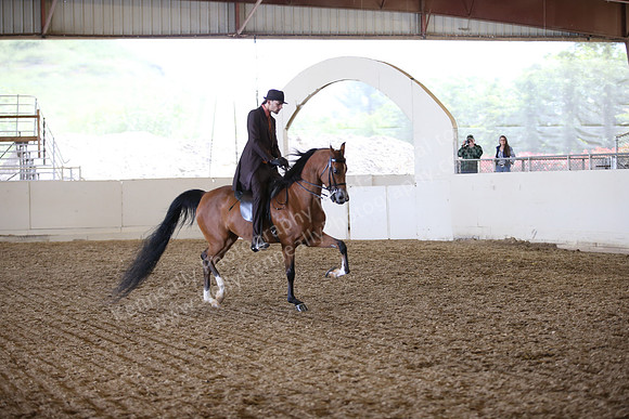 PacSlopes18_SunAM3_0627