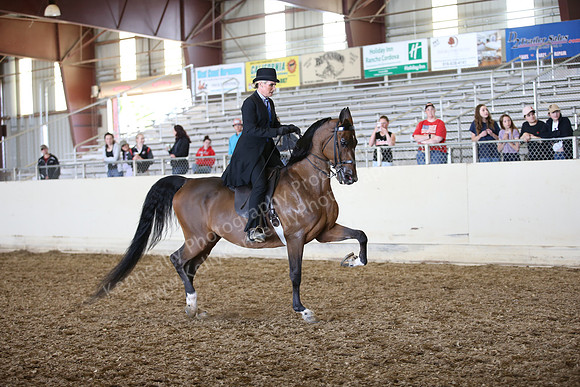 PacSlopes18_SunAM3_0631