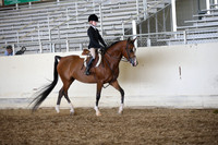 PacSlopes18_SunAM3_0526