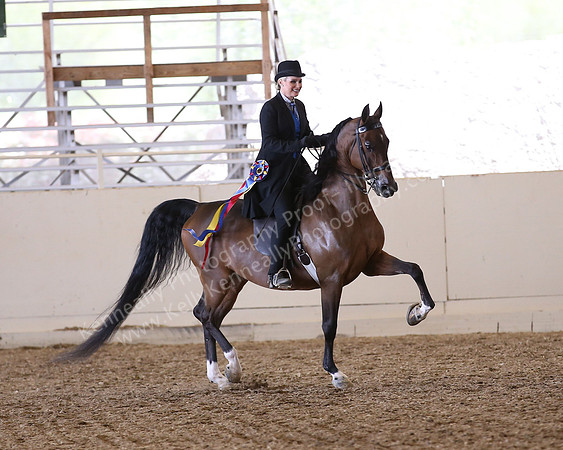 PacSlopes18_SunAM3_0647
