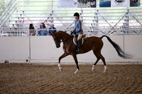 Class 332 Arabian Hunter Pl AAOTR Champ