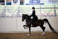 Class 333A English Pl AATR Champ