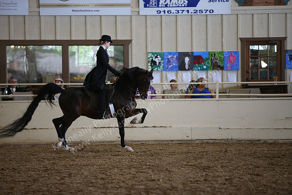 PacSlopes18_SunAM3_0810