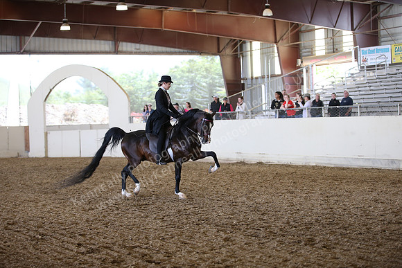 PacSlopes18_SunAM3_0811