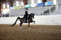 PacSlopes18_SunAM3_0813