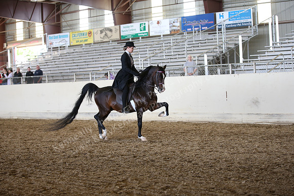 PacSlopes18_SunAM3_0813