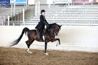 PacSlopes18_SunAM3_0831