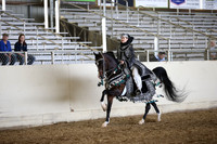 Class 335 Arabian Mounted Native Costume Champ Open