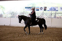 Class 336 Arabian Western Pl AAOTR Jackpot