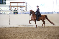Class 337 HA/AA Country English Pl ATR Champ