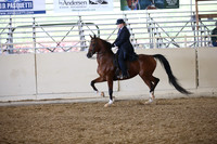 PacSlopes18_SunPM_1014