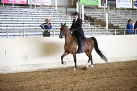 PacSlopes18_SunPM_1020