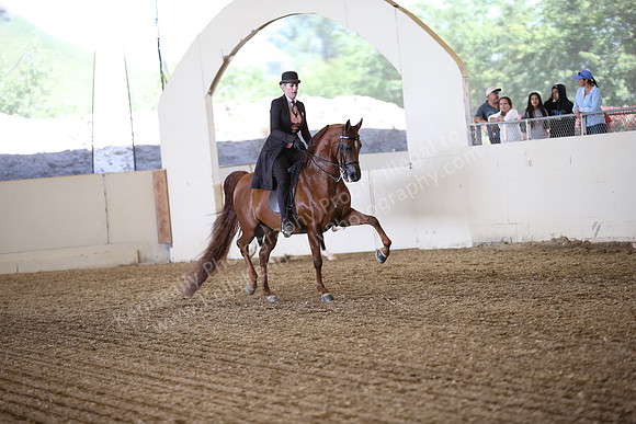 PacSlopes18_SunPM_1053