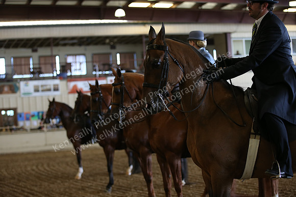PacSlopes18_SunPM_1065