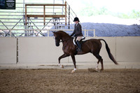 Class 339 HA/AA Hunter Pl Jr Horse Champ
