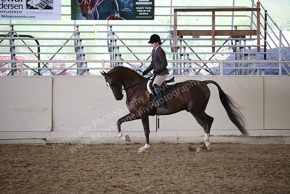 PacSlopes18_SunPM_1183