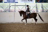 PacSlopes18_SunPM_1184