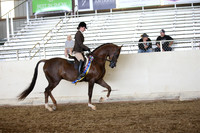 PacSlopes18_SunPM_1200