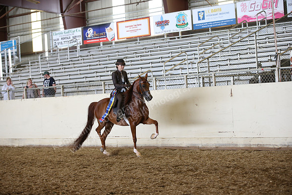 PacSlopes18_SunPM_1304