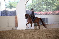 PacSlopes18_SunPM_1206
