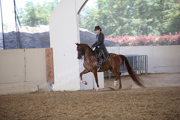 PacSlopes18_SunPM_1206