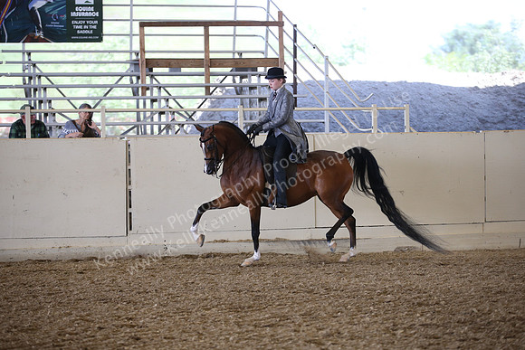 PacSlopes18_SunPM_1211