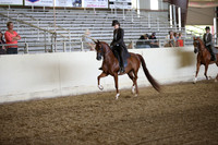 PacSlopes18_SunPM_1221