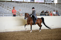PacSlopes18_SunPM_1236