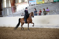 PacSlopes18_SunPM_1245