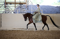 Class 341 HA/AA Ladies Side Saddle Champ