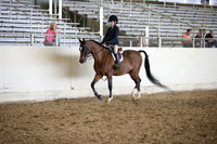 Class 342A Hunter Pl JTR 13 & Under Champ