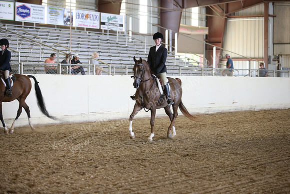 PacSlopes18_SunPM_1360