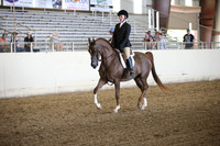 PacSlopes18_SunPM_1366