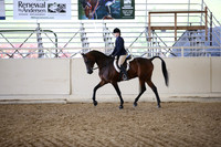 Class 342B Arabian Hunter Pl JTR 14 - 18 Champ