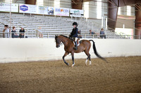 PacSlopes18_SunPM_1370