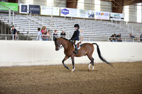 PacSlopes18_SunPM_1371