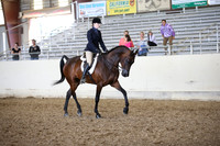 PacSlopes18_SunPM_1433