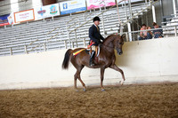 PacSlopes18_SunPM_1497