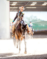 Class 344 Arabian Western Pl Open Elite Champ