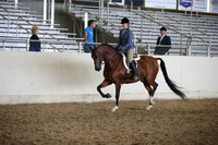 PacSlopes18_SunPM_1742